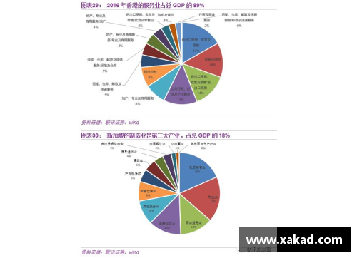 欧洲杯德国实力解析与优势分析