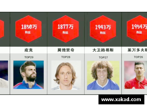 体育明星学历需求分析：篮球明星与足球明星的对比研究