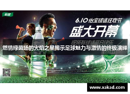 燃情绿茵场的火焰之星揭示足球魅力与激情的终极演绎