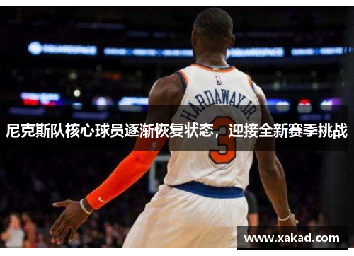 尼克斯队核心球员逐渐恢复状态，迎接全新赛季挑战