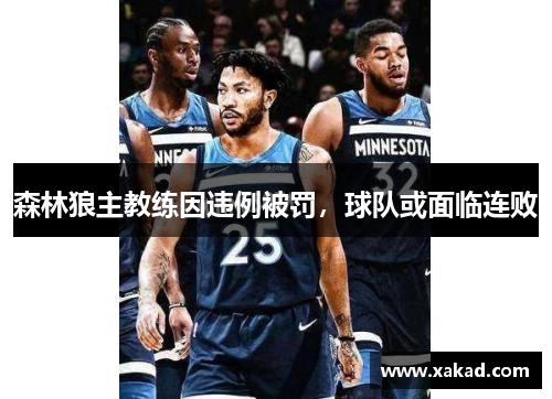 森林狼主教练因违例被罚，球队或面临连败